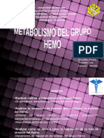 Metaolismo Grupo Hemo