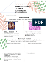 Diagnósticos Morfológicos Asfixia + E.H.I. Kathy Criollo