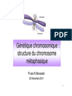 002 - Génétique Chromosomique - Structure Du Chromosome Métaphasique