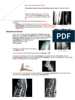 Fraturas em Geral