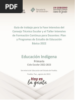 Final Dei Guia Primaria Indigena