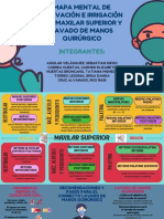 Mapa Mental 2 de Maxilar Superior y Lavado de Manos Quirurgico