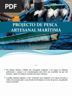 Projecto de Pesca Artesanal Marítima Inip Novo