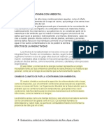 Efectos de La Contaminacion Ambiental