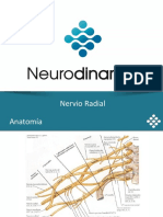 05 Nervio Radial PDF