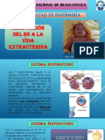 Adaptacion Extrauterino Fetal