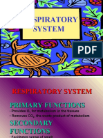 E Respiratory System