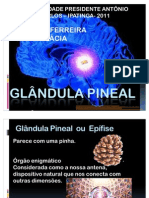 Glândula Pineal