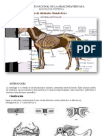 Presentación - Artrología