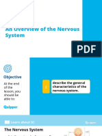 Earth and Life Science SHS 7.1 An Overview of The Nervous System