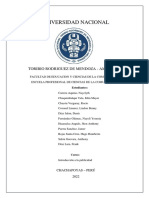 Informe - Intro Publicidad