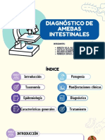 Diagnostico de Amebas Intestinales