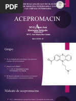 Acepromacina