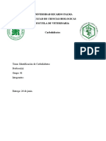 Informe de Identificación de Carbohidratos