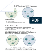 BGP Peers