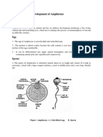 Embyology UG Part II Note 2 - Development of Amphioxus Drprity Mam2