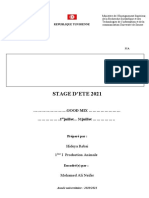 Sujet de Rapport de Stage 2eme PA