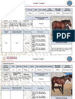 Agenda Ganado Equino 2o RCM