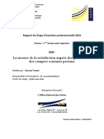 Rapport de Stage Dinsertion Professionne