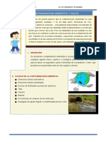 Ficha La Contaminacion Ambiental y Salud-5a