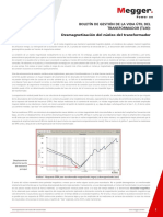 Desmagnetizacion Del Nucleo - MEGGER