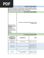 Cuadro Sistema Endocrino