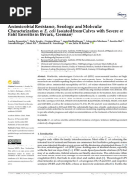 Antimicrobial Resistance, Serologic and Molecular Characterization of E Coli Isolated From Calves With Severe or Fatal Enteritis in Bavaria, Germany