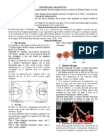 Historia Del Baloncesto