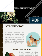 Plantas Medicinales