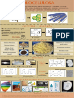 Infografia Celulosa - Hemicelulosa