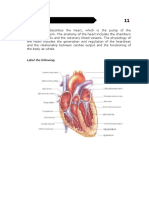 ACHAI DLaboratory Actiivty 11 - The Heart