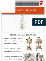 Tema 2. Huesos Del Tronco