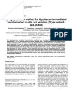 A Highly Efficient Method For Transformation in Elite Rice Varieties (Spp. Indica)