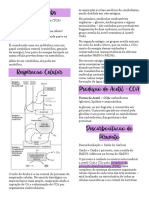 Ciclo de Krebs