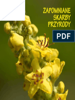 Zapomniane Skarby Przyrody.