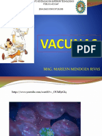 VACUNAS