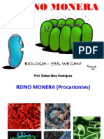 Aula Bacterias