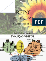 Aula Plantas