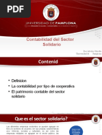 Contabilidad Sector Solidario