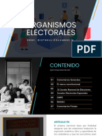 Organismos Electorales I