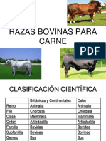 Razas Bovinas para Carne