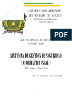 SISTEMAS DE GESTION DE SEGURIDAD INFORMÁTICA - Mgls