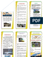 Triptico de Deterioro Ambiental Yanely 1°a