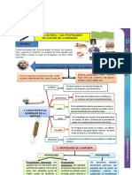 Cartilla Ciencias Naturales - 11