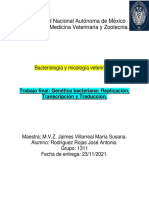 Trabajo Final - Genética Bacteriana - Replicacion, Transcripcion y Traduccion - Rodríguez Rojas José Antonio