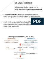 Gene Therapy, GMOs and Genetic Engineering 