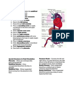 Fetal Circulation