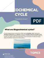 Biogeochemical Cycles