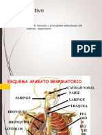 Sistema Respiratorio 5°