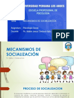 Mecanismos de Socializacion